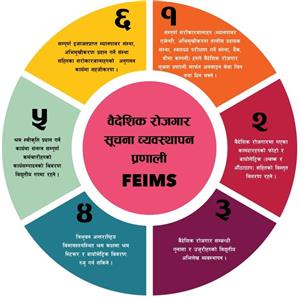 FEIMS